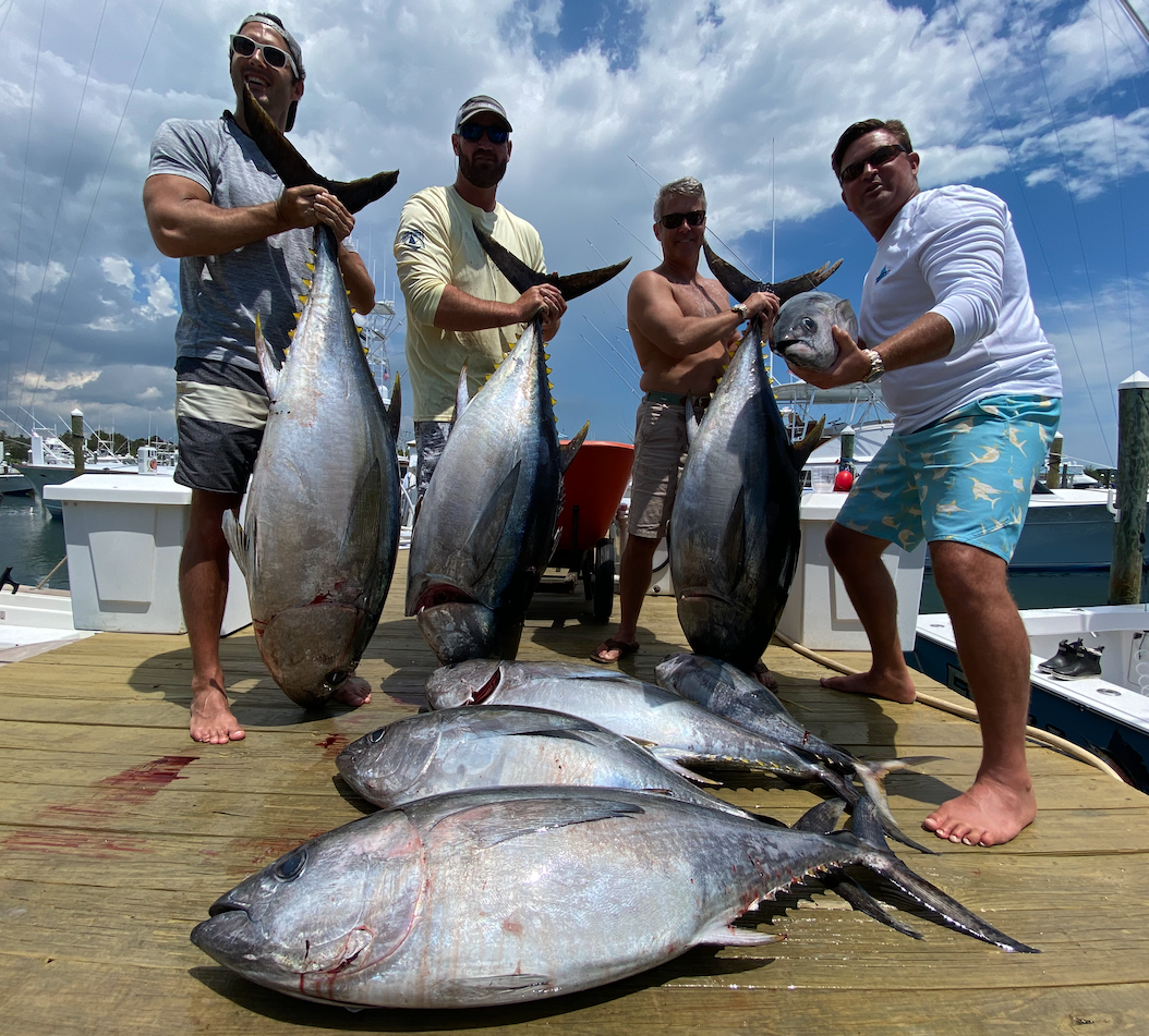 A Bunch of Nice Bigeye Tuna