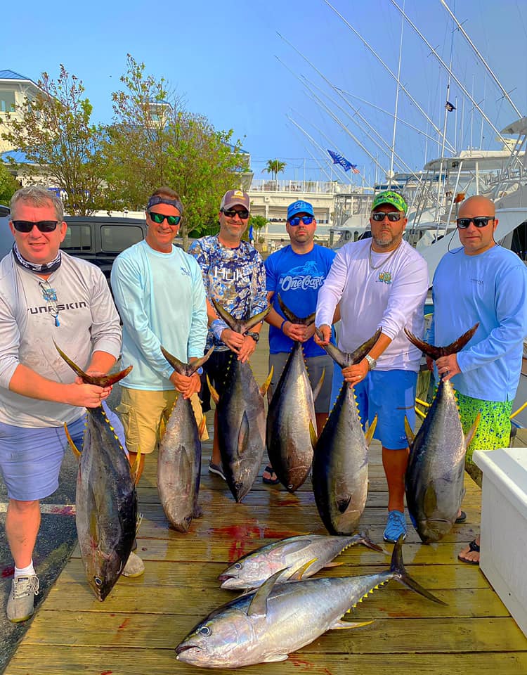 Rough But They Found Some Tunas and Mahi
