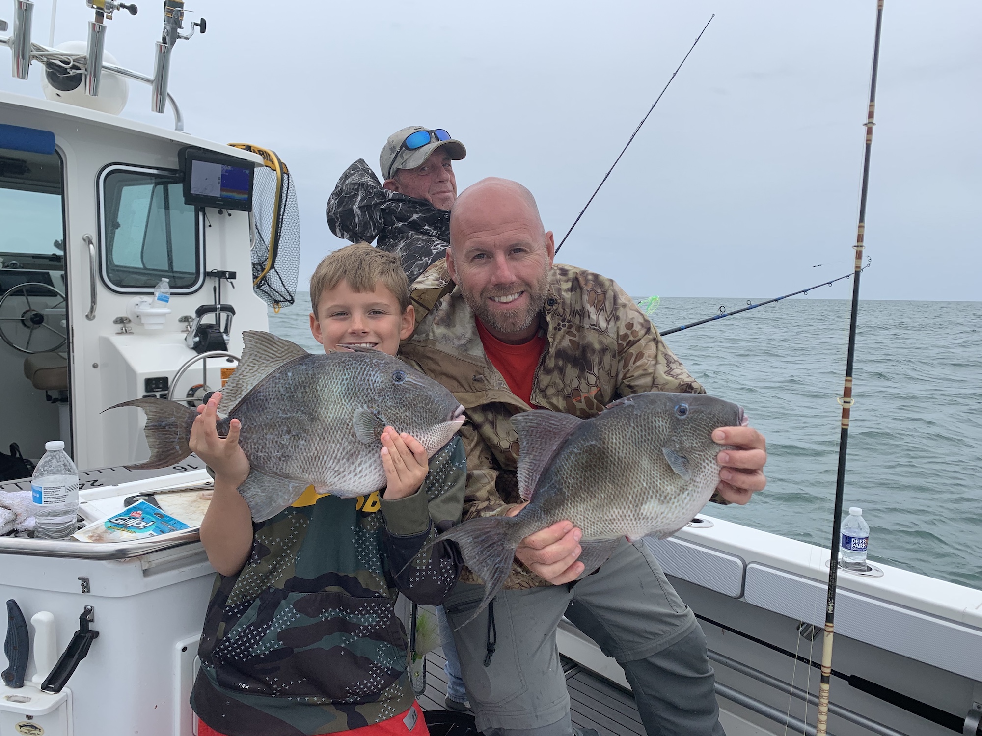 Limits of Sea Bass, Some Flounders and Triggers