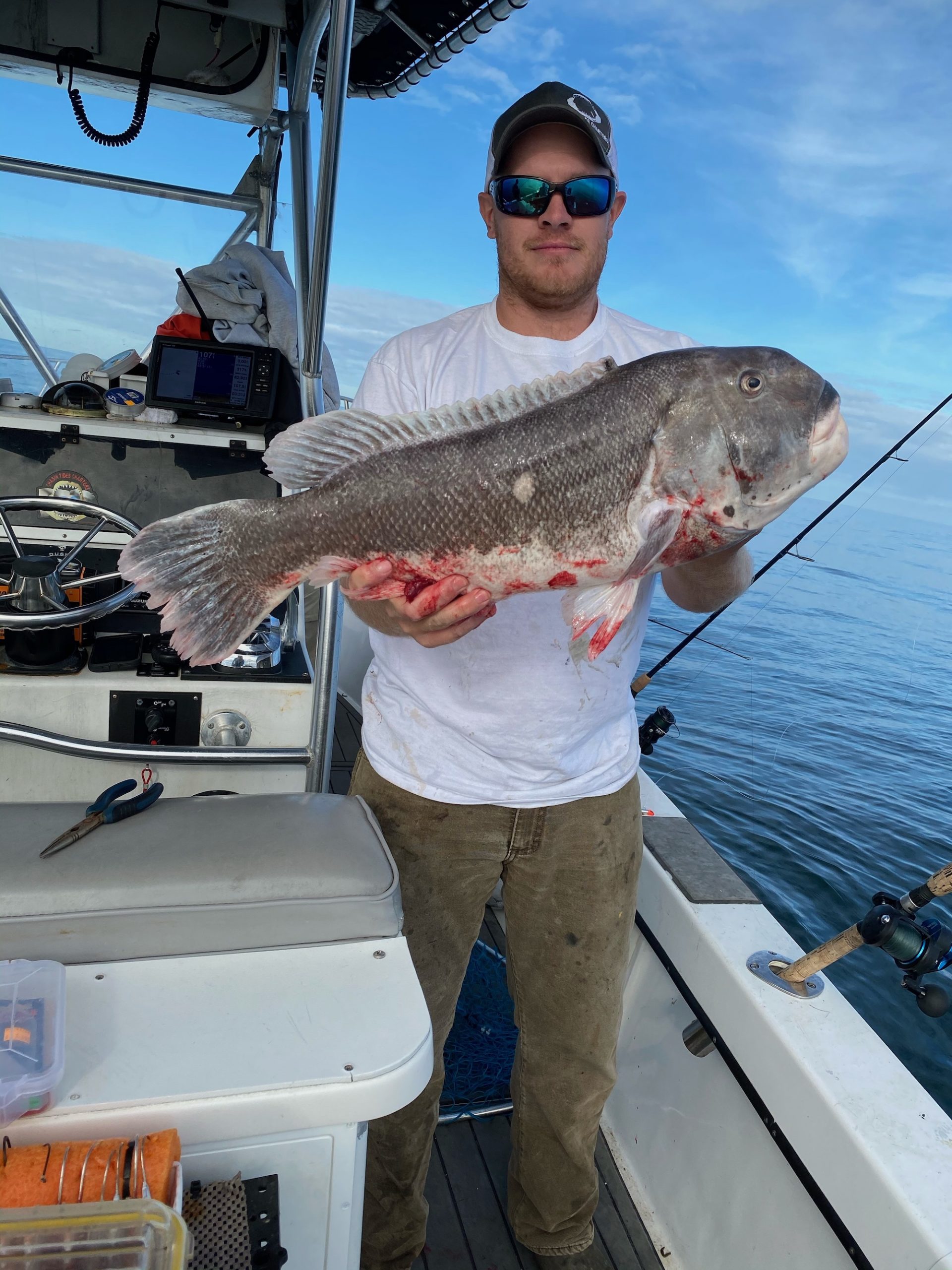 Swordfish, Sea Bass, Triggerfish and Some Tautog Showing Up