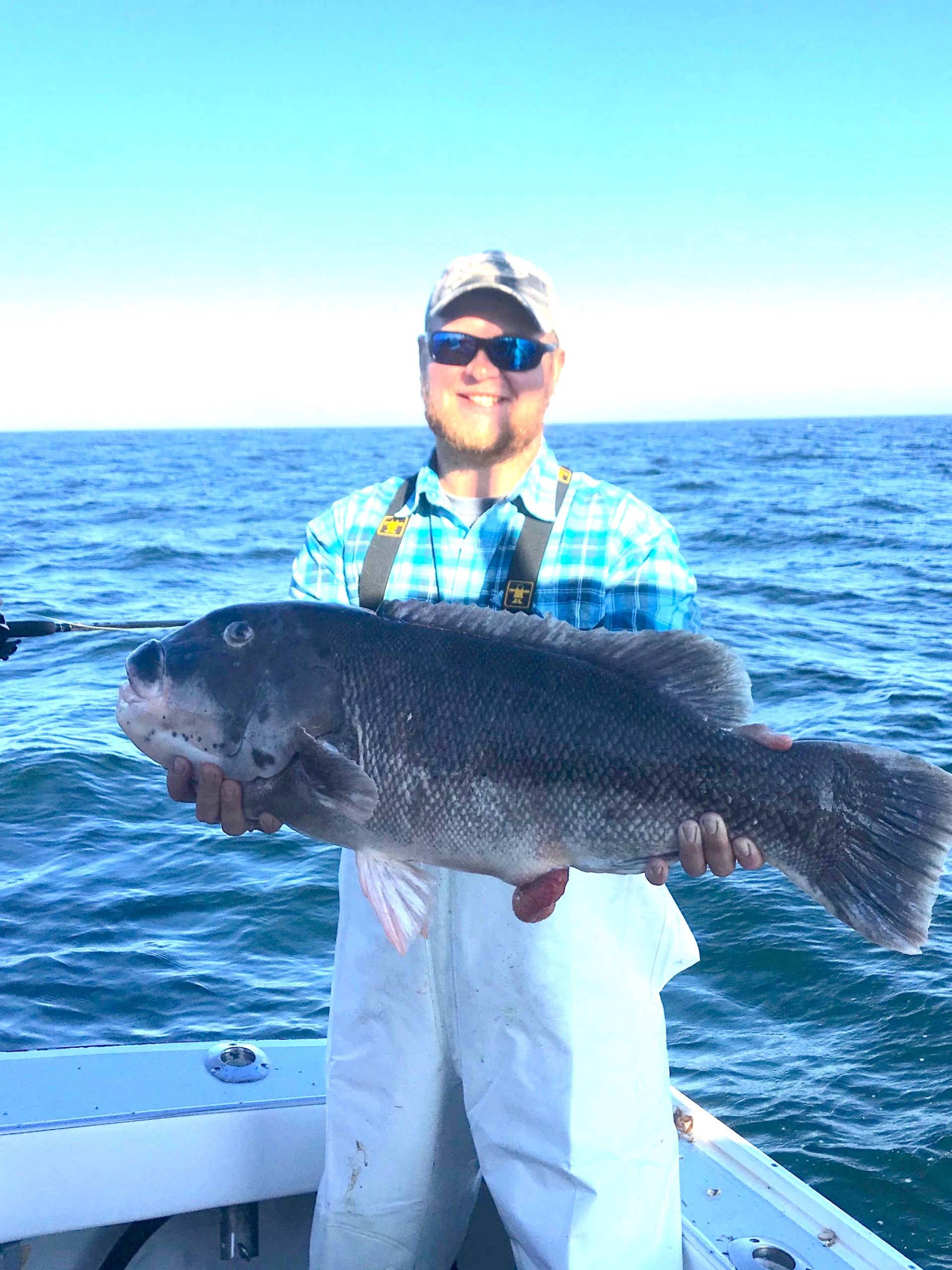 Another 20 Pound Tautog