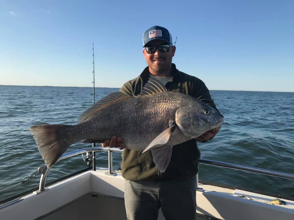 Black Drum Fishing in Ocean City, MD - FishingBooker