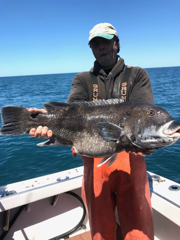 Crazy Good Flounder Fishing, Jumbo Tog and Monster Black Drum - Ocean City  MD Fishing