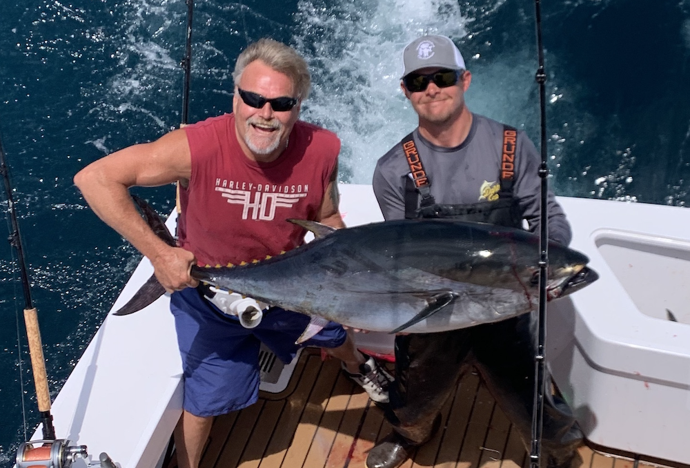 Over and Under Bluefin Tuna