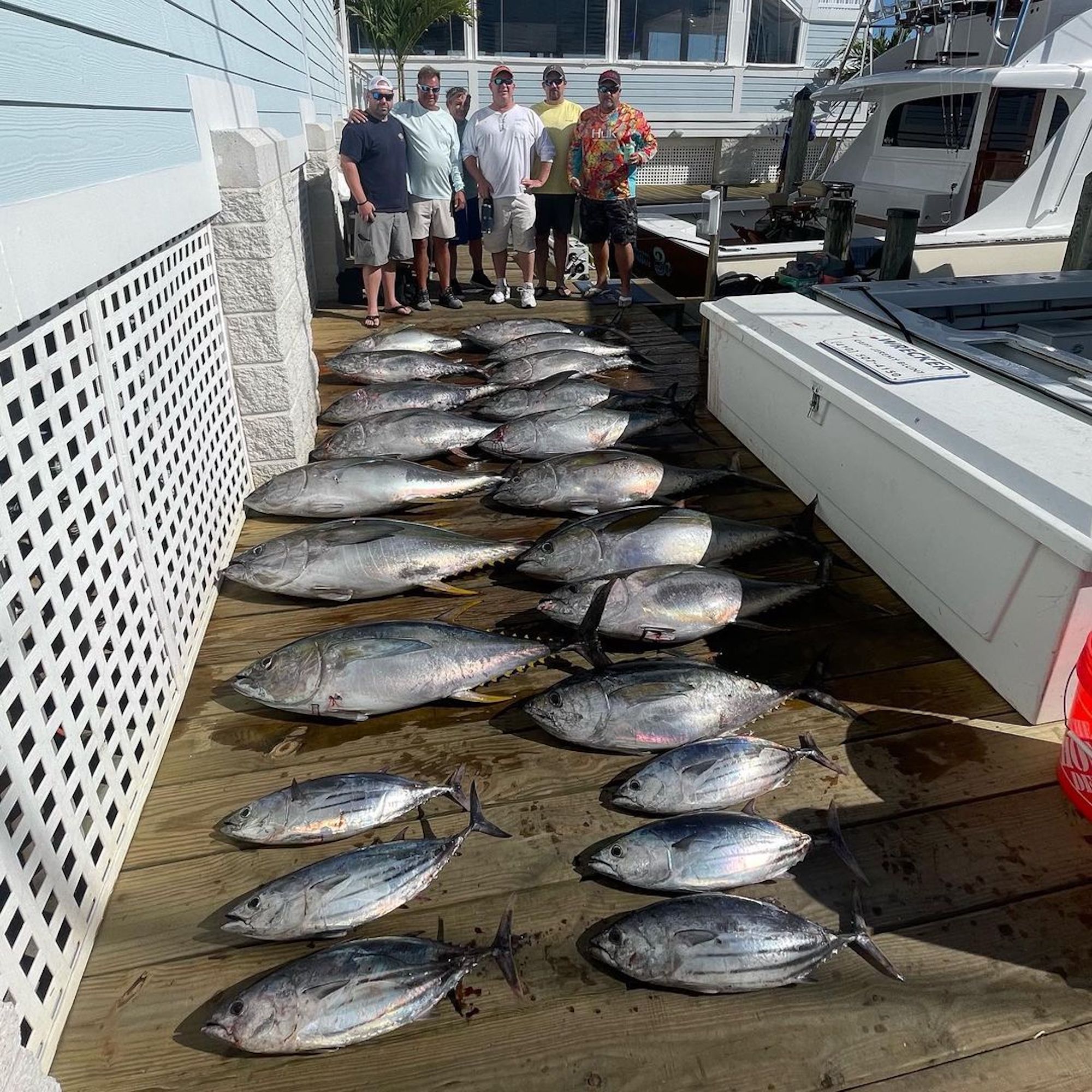 And The Tunas Were Snappin’