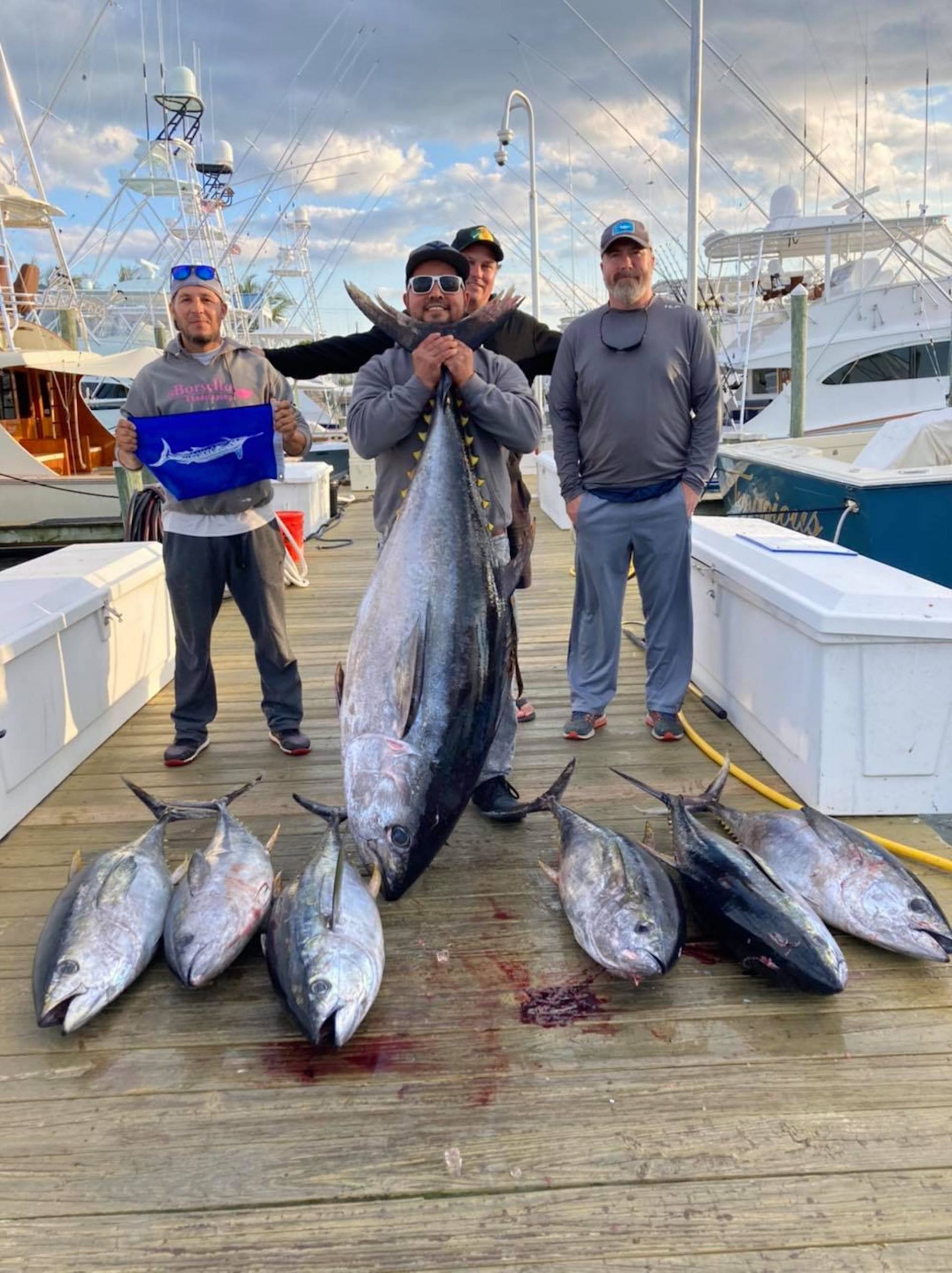 Learn About the Atlantic Bigeye – Fishing