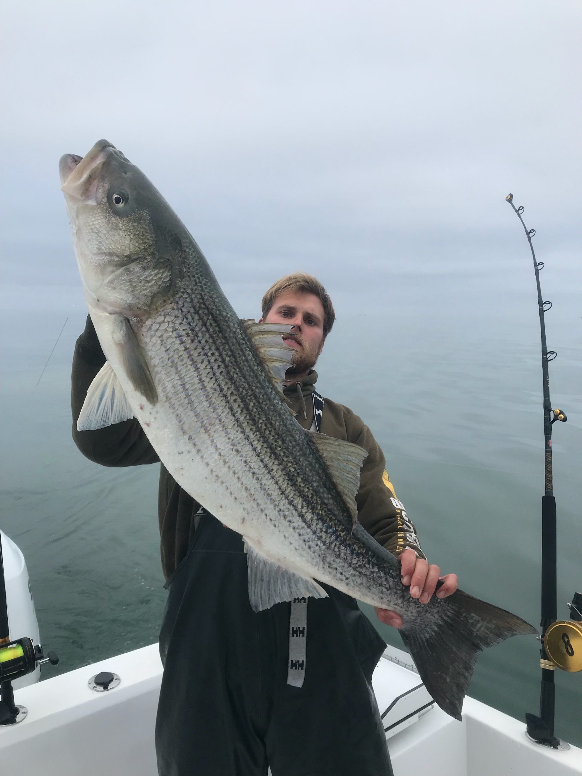 5 Pound Sea Bass, 8 Pound Flounder and JUMBO Rockfish - Ocean City MD  Fishing