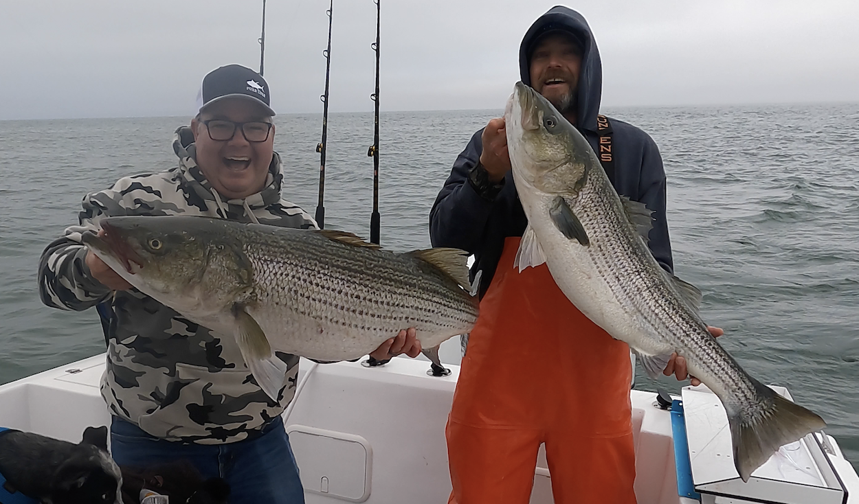 5 Pound Sea Bass, 8 Pound Flounder and JUMBO Rockfish