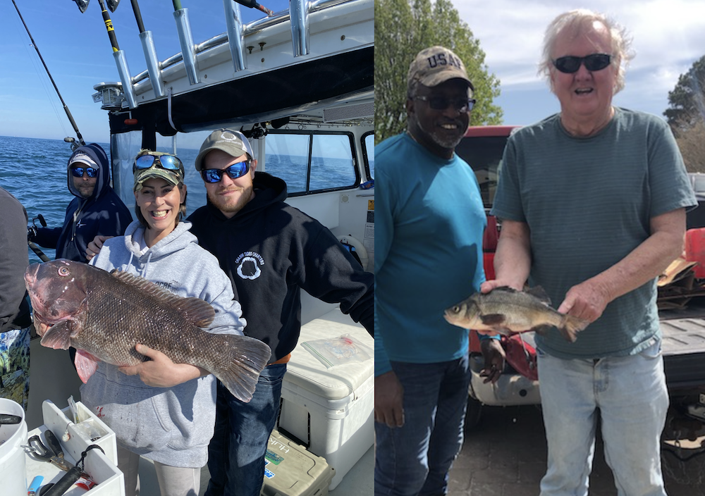 Flounder, Shad, HUGE Tautog and A New MD State Record White Perch on A Roy Rig!?