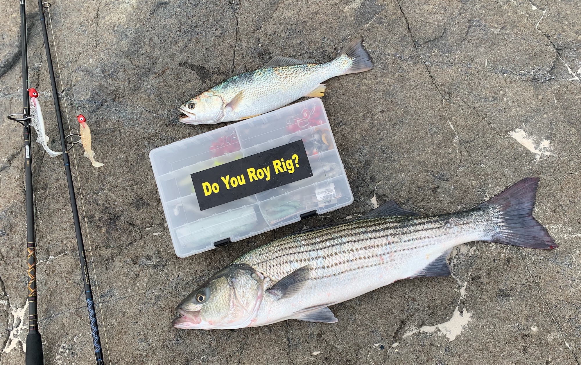 Do You Roy Rig - Ocean City MD Fishing