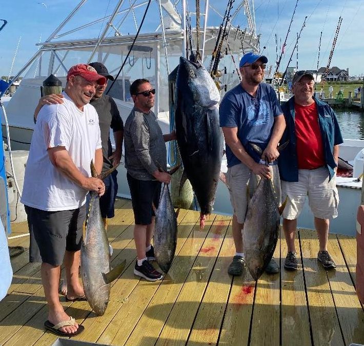 Flounder, Sea Bass, Some Yellowfin and A 243 Pound Bluefin Tuna