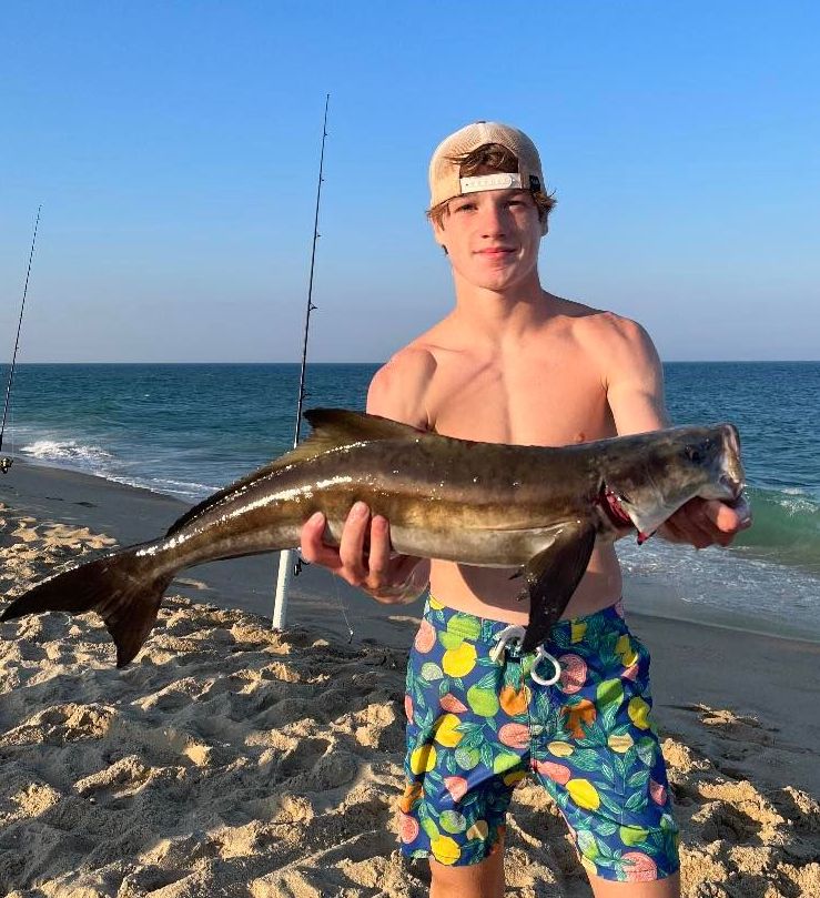 41″ Cobia From The Surf