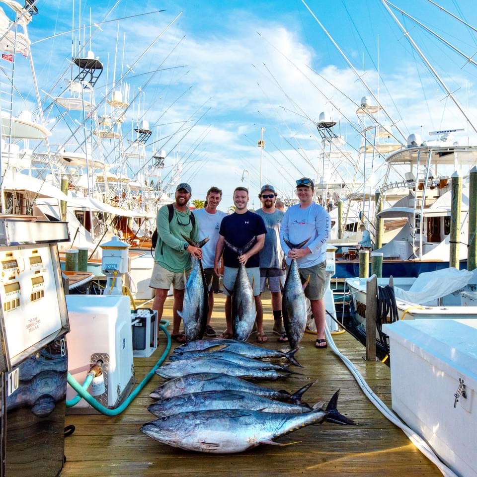 Good Tuna Bite and A 15 Pound Flounder