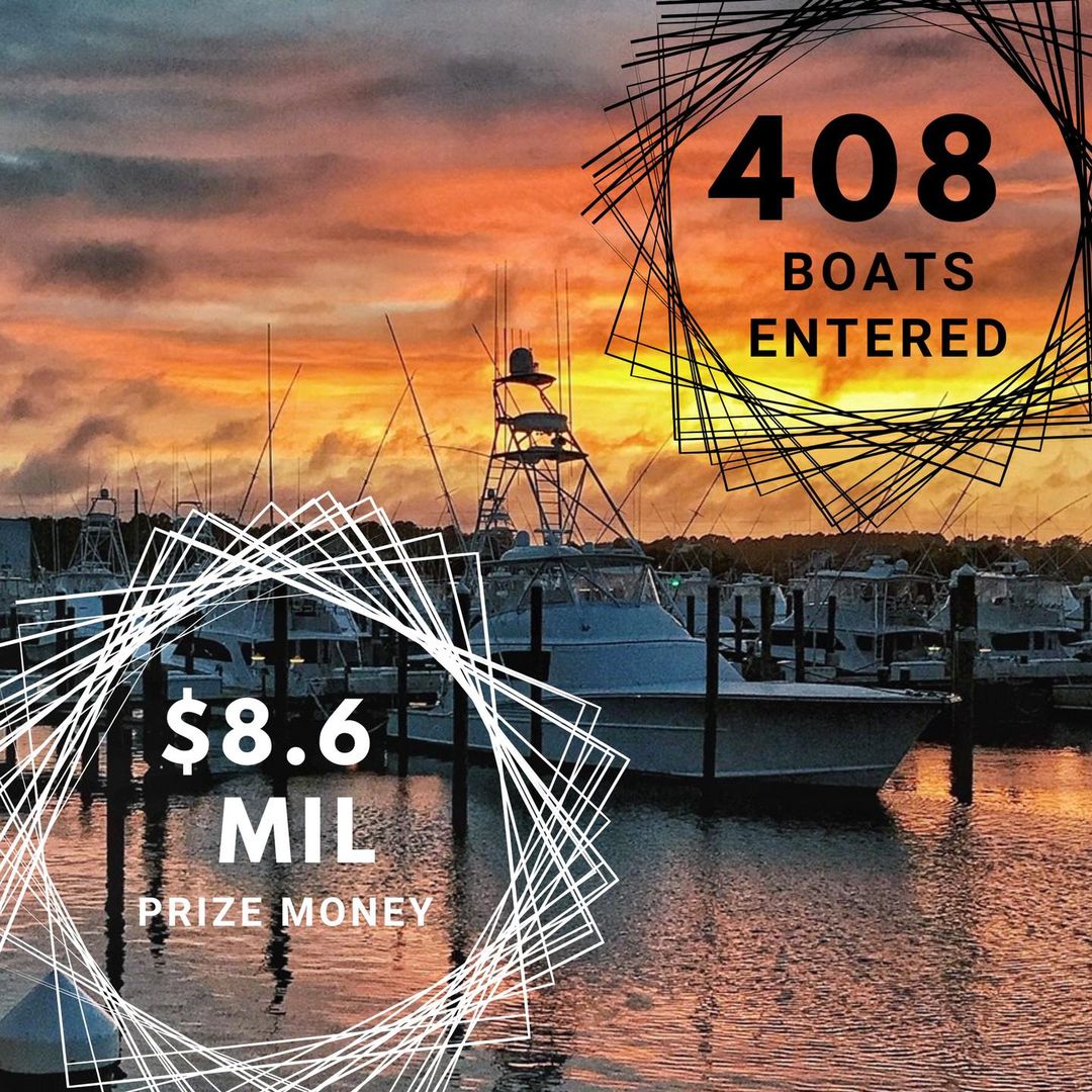 2022 White Marlin Open Has 408 Boats and $8.6 Million