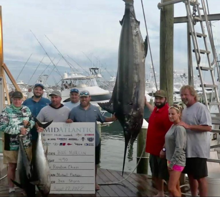 Two Big Blue Marlin Land on Day 1 of the 2022 MidAtlantic - Ocean City ...