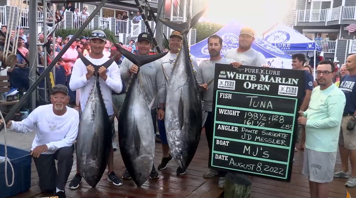 No Billfish After Two Days Has Tuna Worth Big Money in The 2022 White Marlin Open