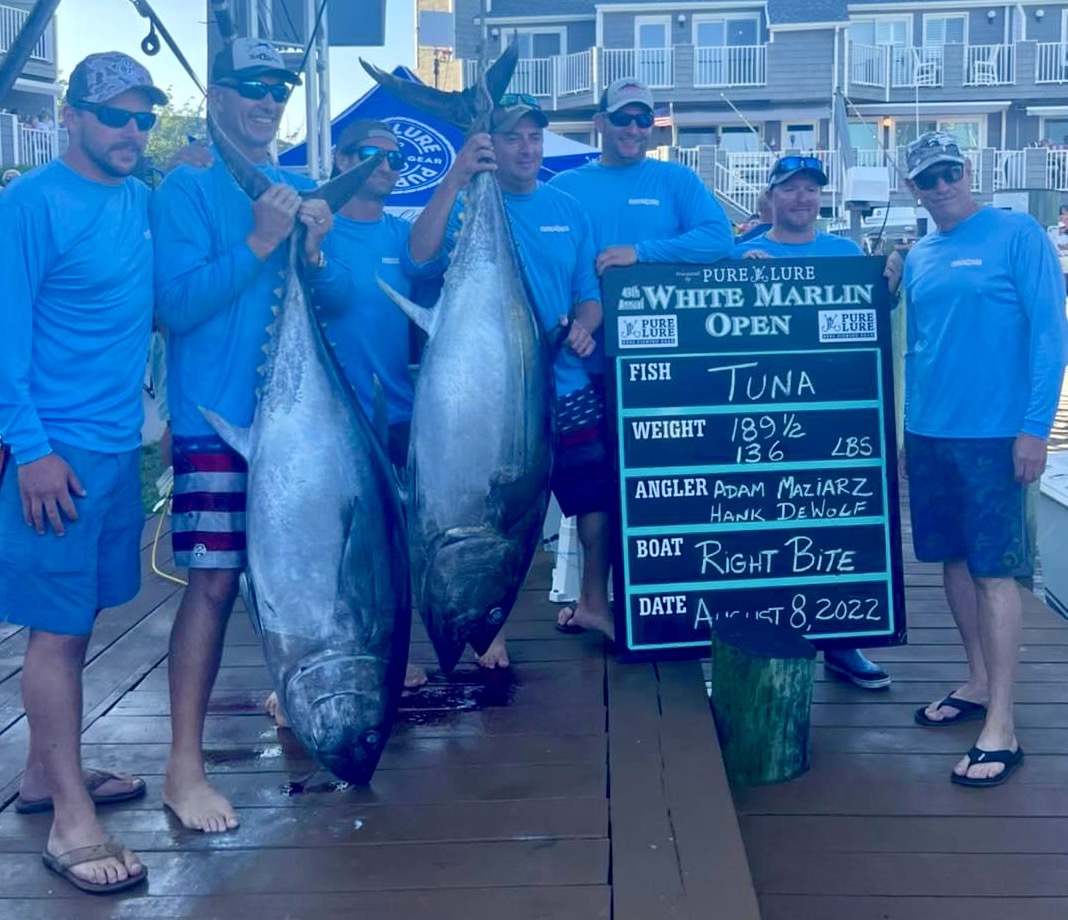 Reel Toy  White Marlin Open Stats 2022 Tournament at White Marlin