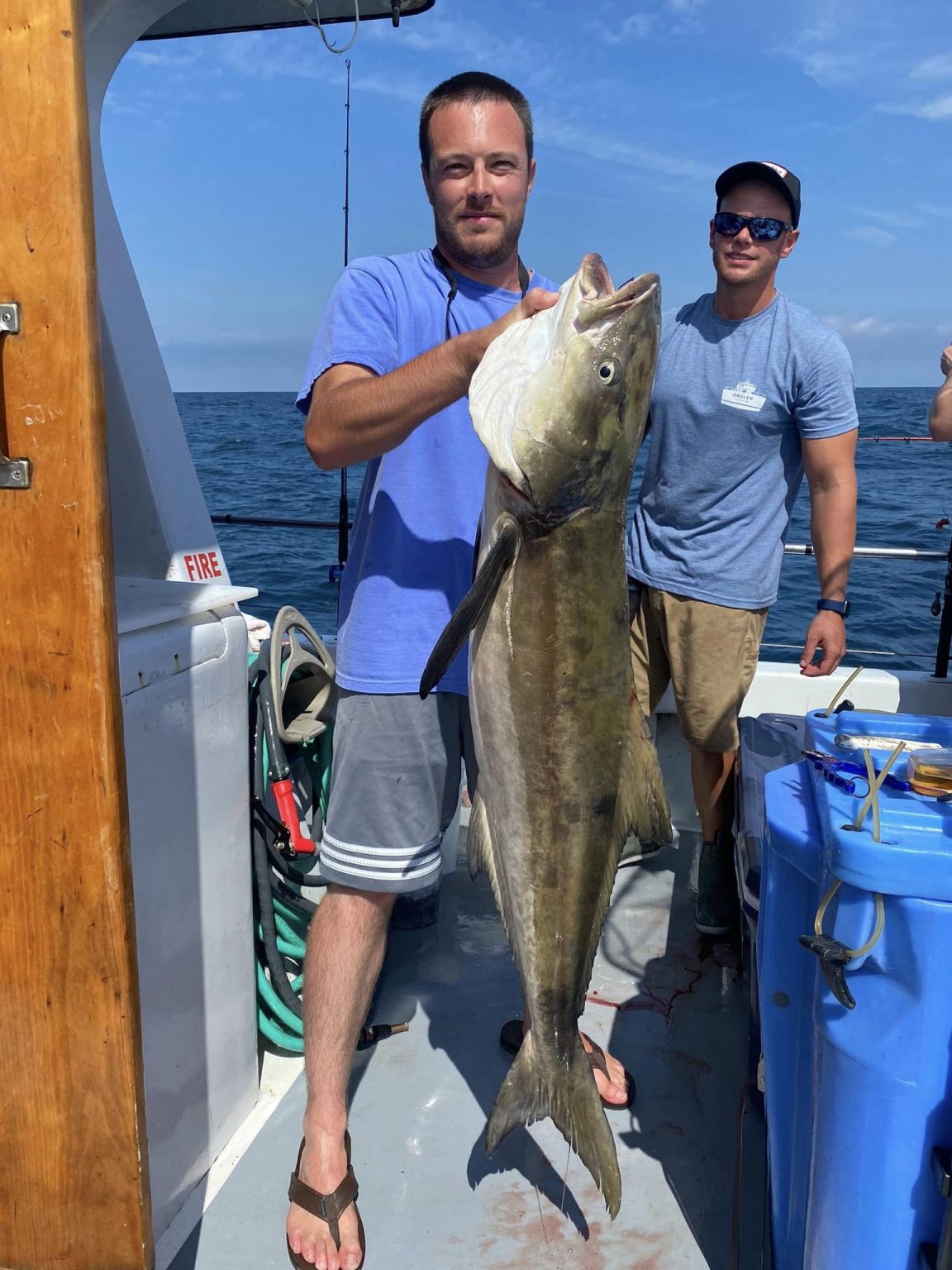 40 Pound Cobia on a Flounder Rig - Ocean City MD Fishing