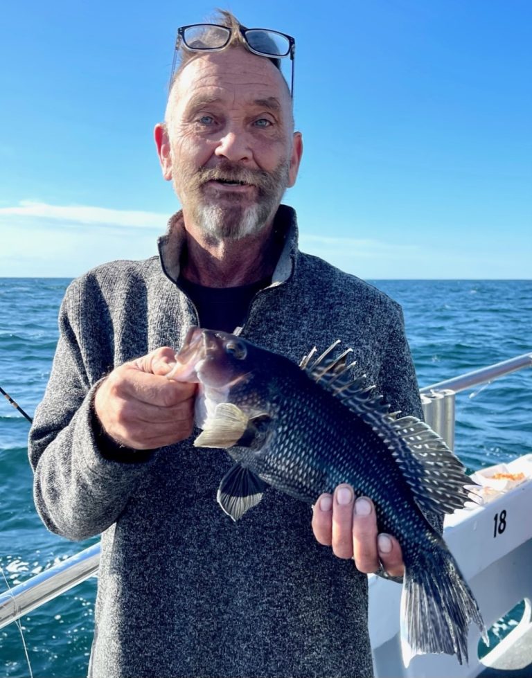 Flounder And Sea Bass Ocean City Md Fishing