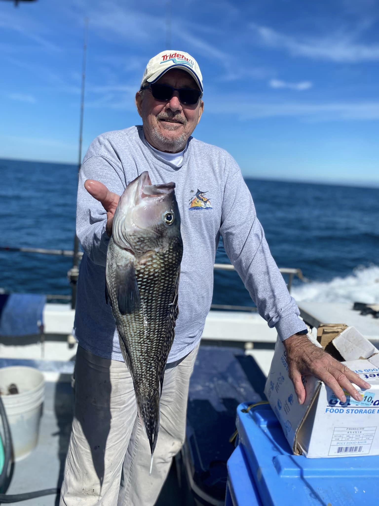 Limits of Sea Bass After The Storm