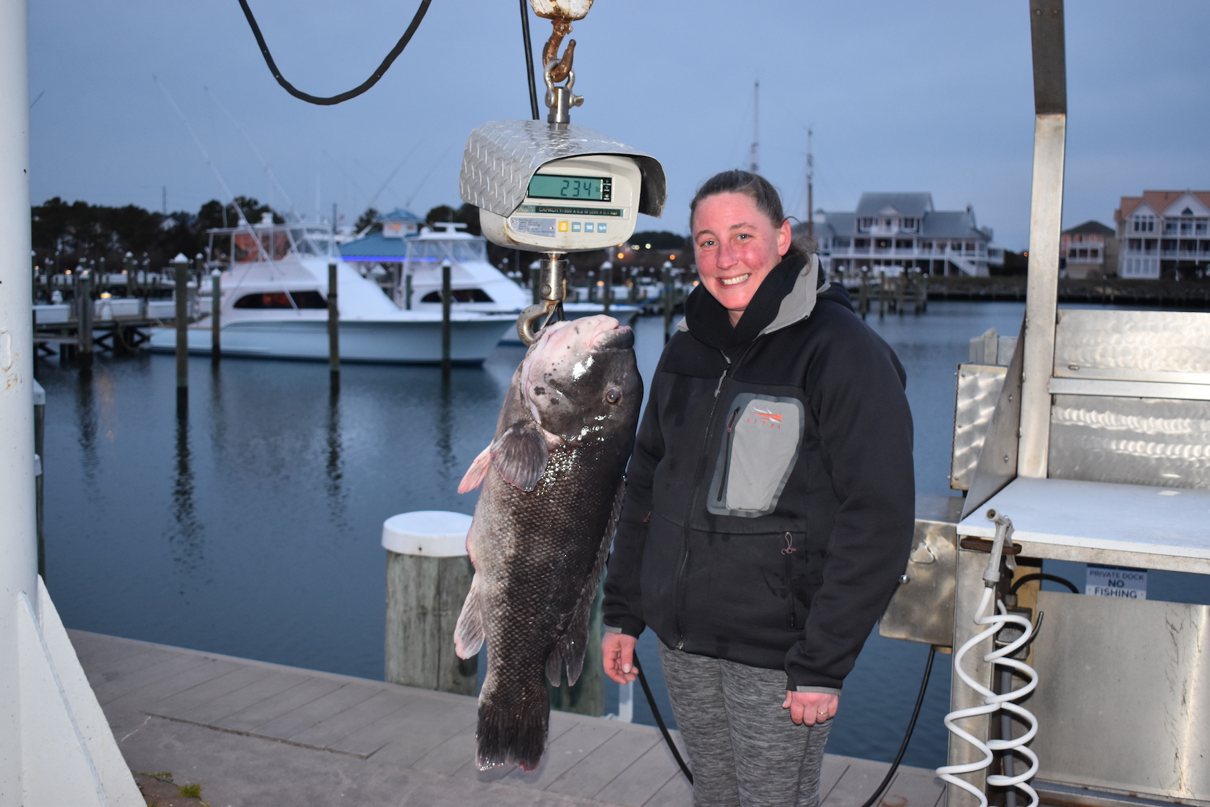 23.4 Pound Tautog Could Be New Lady Angler World Record - Ocean City MD  Fishing