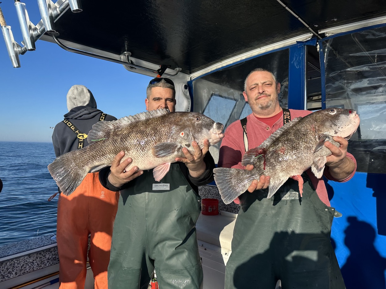 Jumbo Rockfish and Tautog To Over 16 Pounds - Ocean City MD Fishing