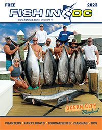 Fish In OC 2022 PDF magazine