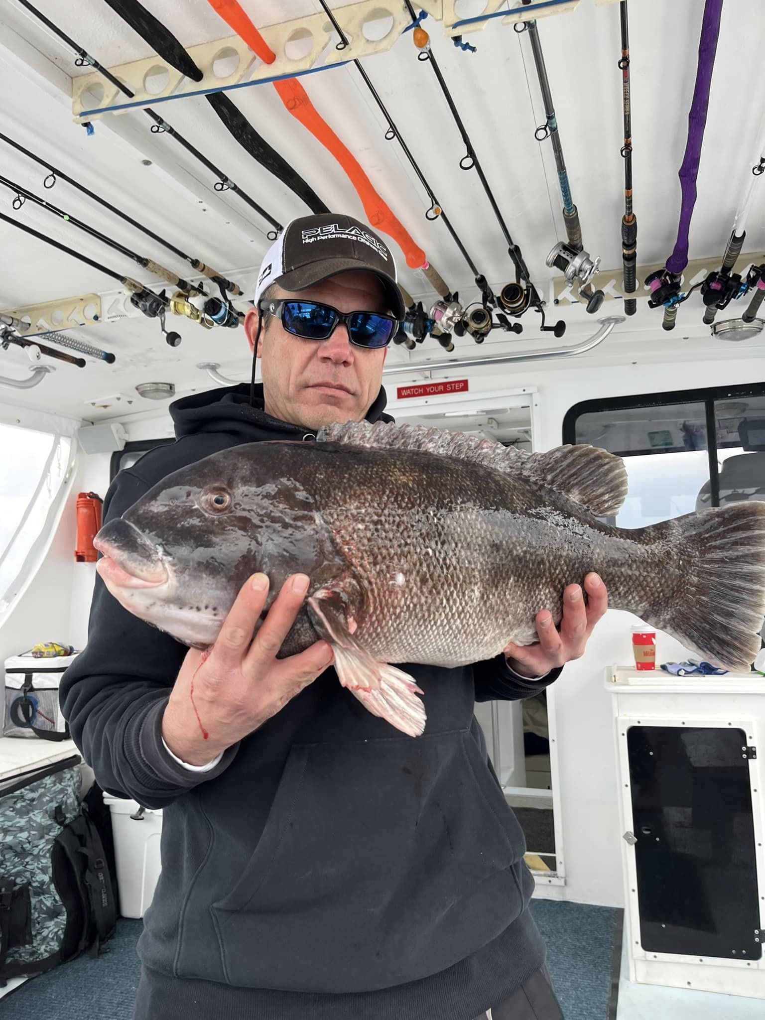 Another 20 Pound Tautog1