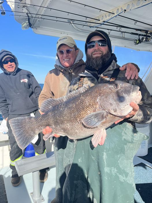 22+ Pound Tautog Makes 16 For Fish Bound