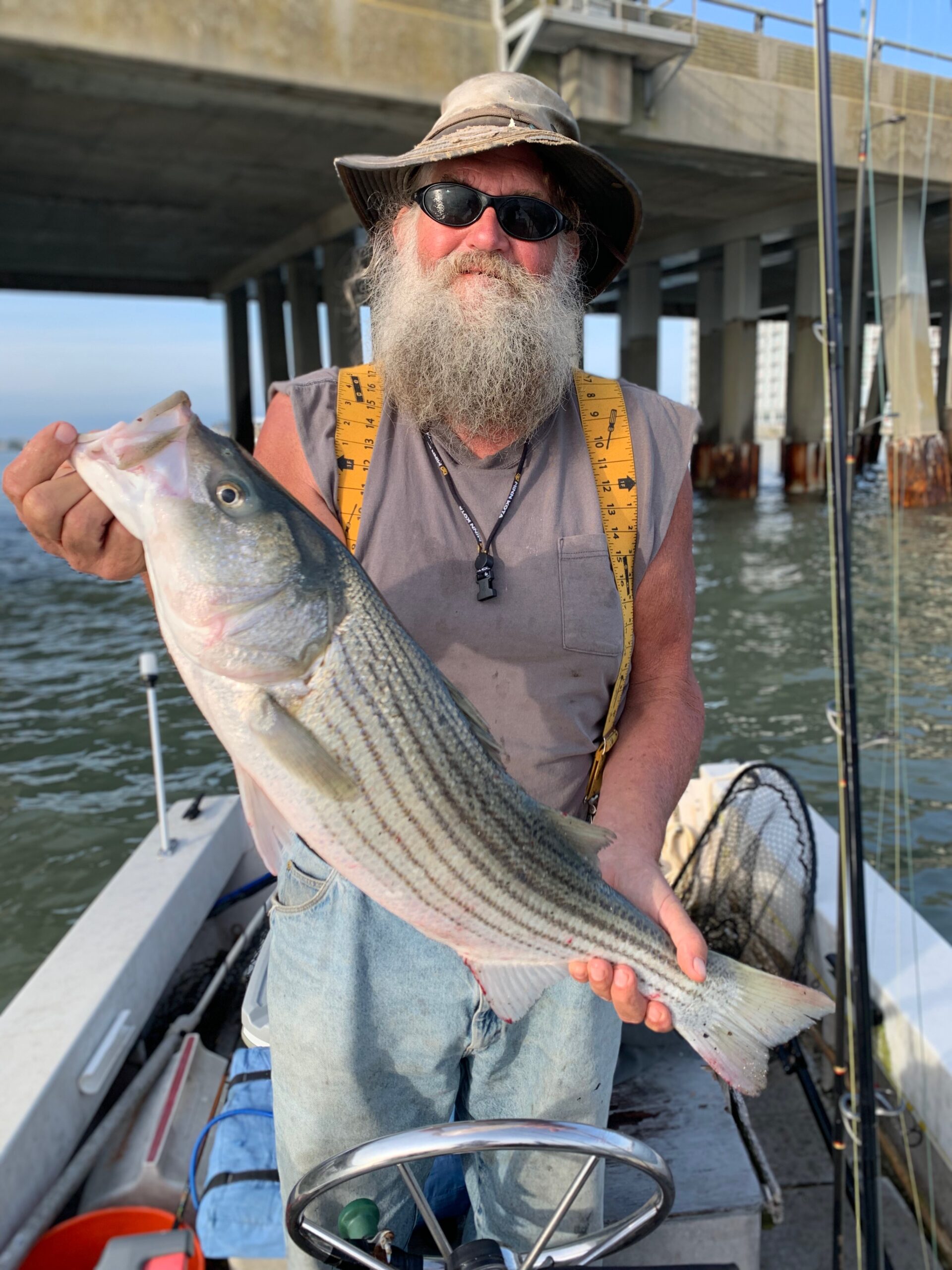 28” to 31” Slot Coming For Coastal Striped Bass