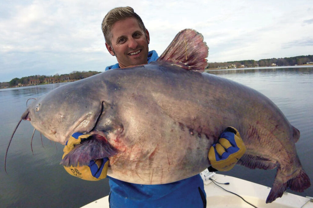 New Maryland State Record 104 Pound Blue Catfish - Ocean City MD Fishing