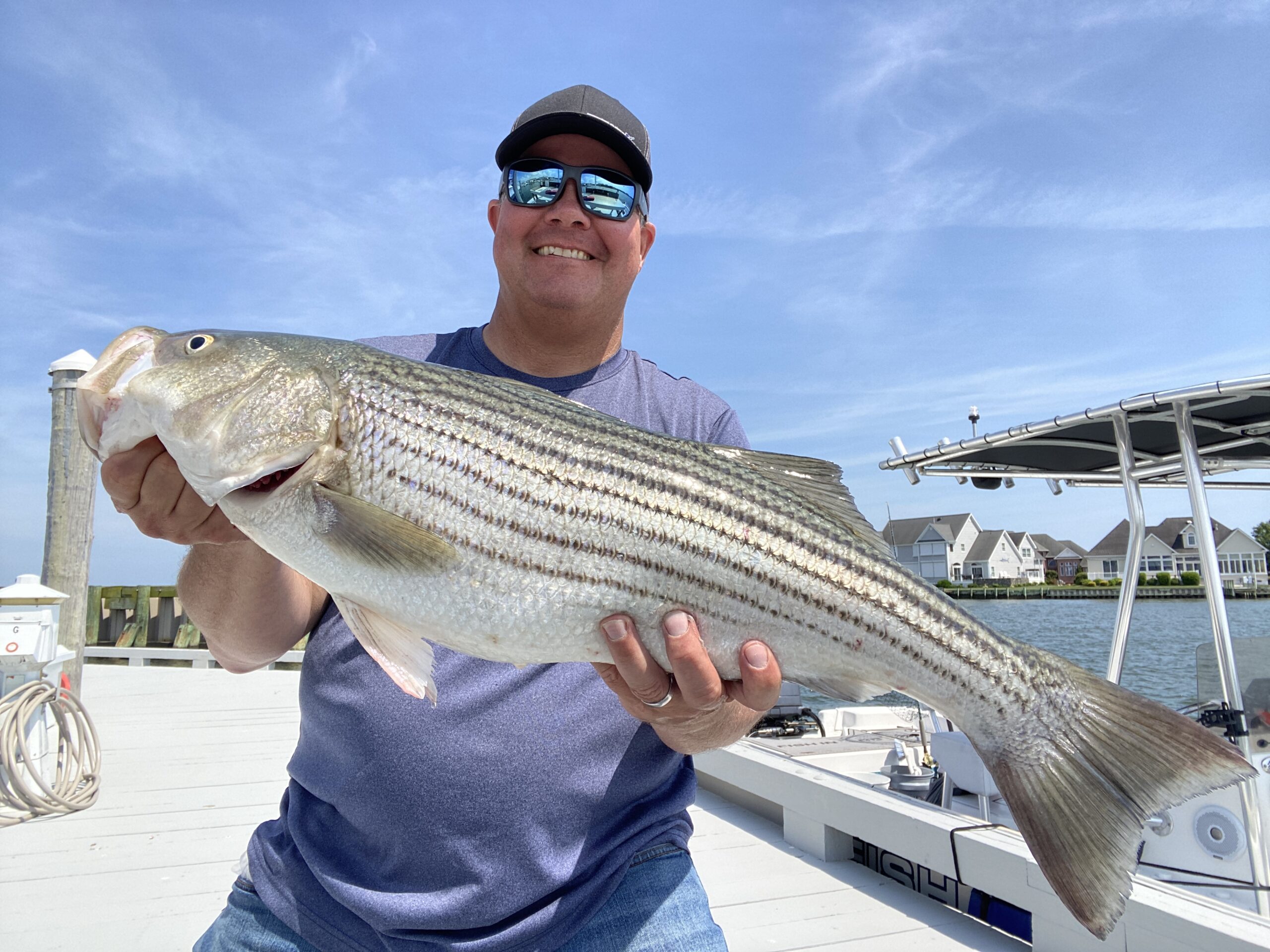 New Coastal Striped Bass Slot of 28 to 31 to Begin May 16 - Ocean City MD  Fishing