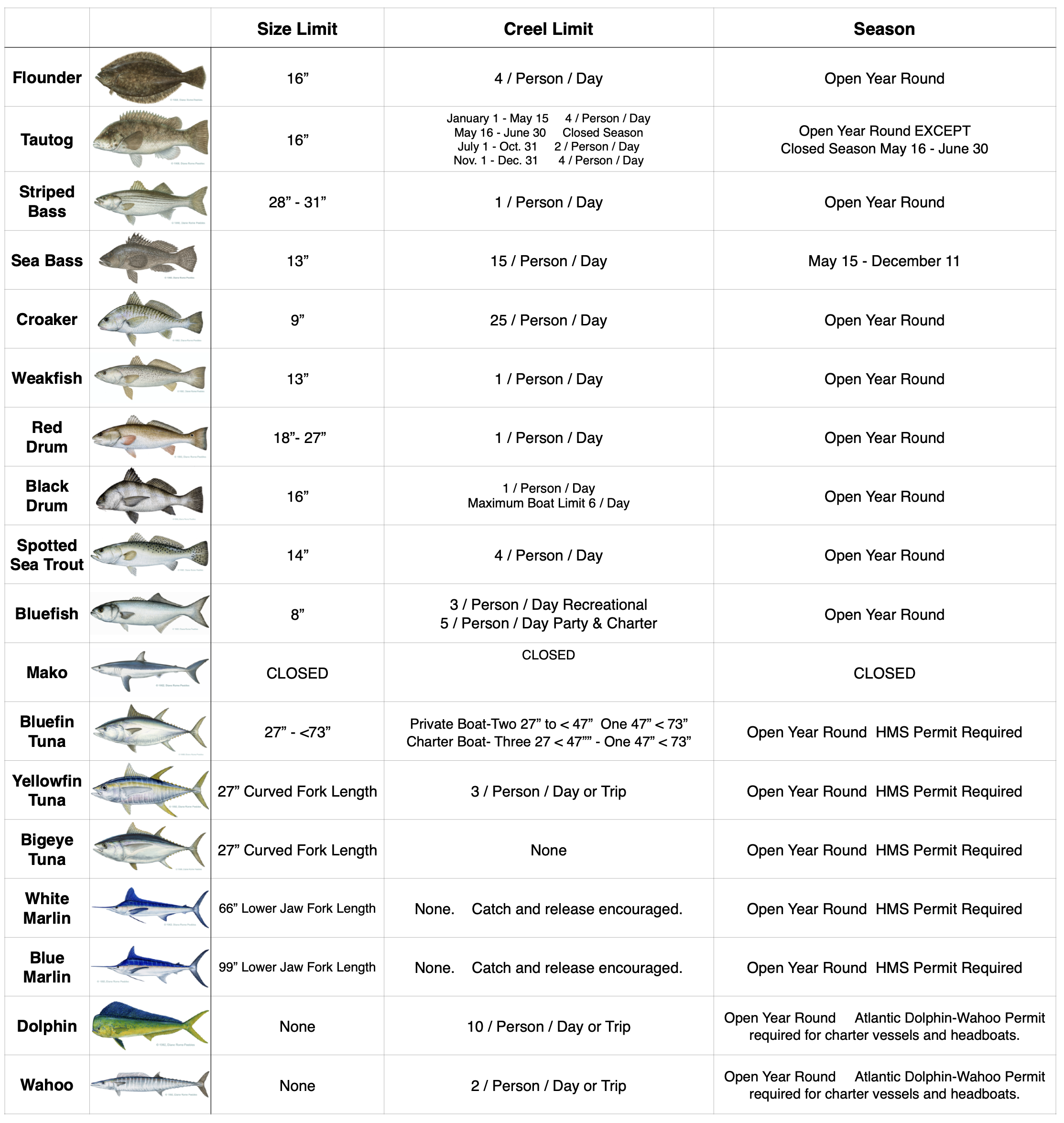 READ ALL fishing rules and regulations in the state of Maryland.