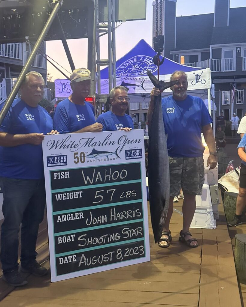 Record 6.2 Million Dollar Marlin Wins 50th White Marlin Open Ocean