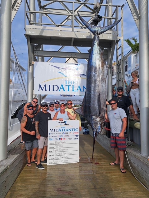 HUGE Blue Marlin Highlight Day 3 at The 2023 MidAtlantic Tournament