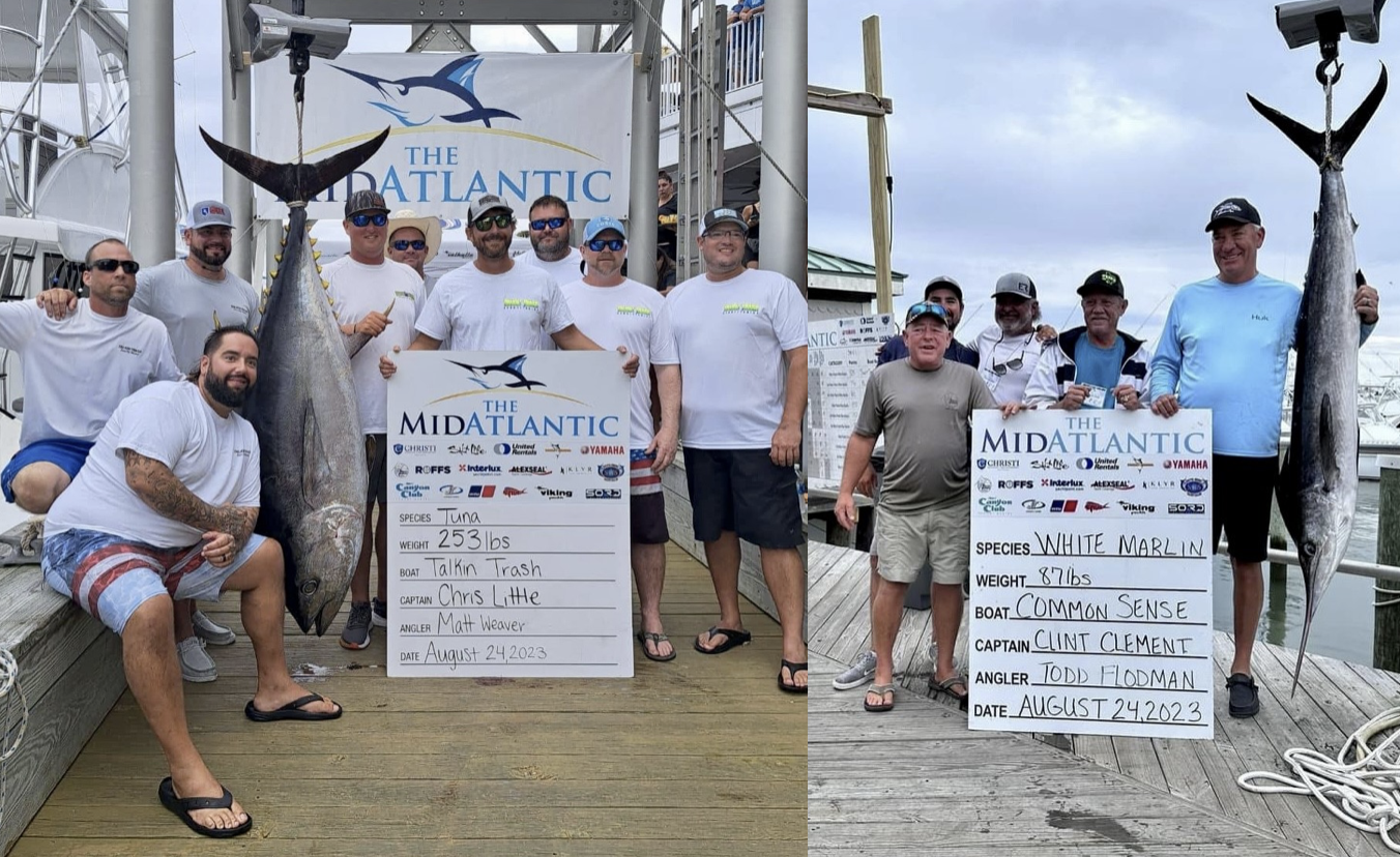 87 Pound White and 253 Pound Bigeye Crash the Leaderboard on Day 4 of the 2023 MidAtlantic