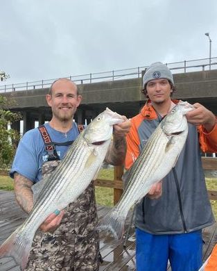 Stripers In A Tropical Storm