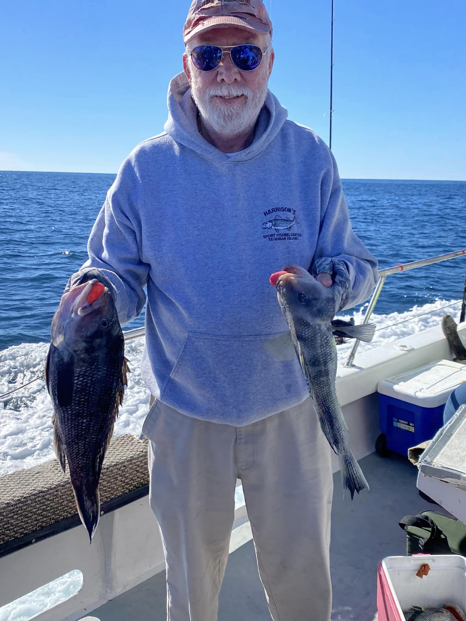 Flounder, Sheepshead, Tog and Boat Limits of Sea Bass - Ocean City MD  Fishing