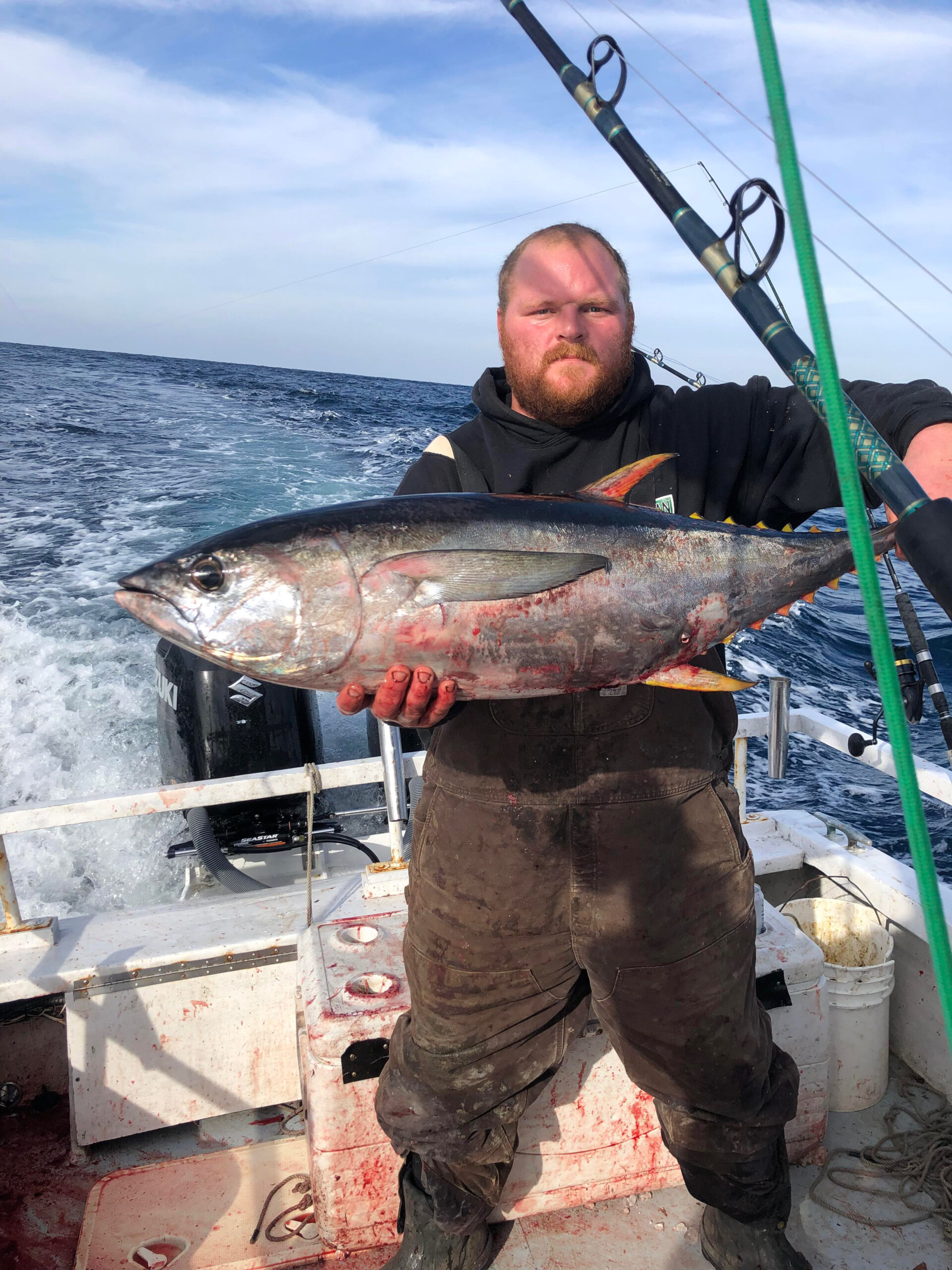 Yellowfin In The Poorman’s Canyon