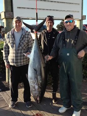 More Bluefin Tuna, Tautog, and Red Drum