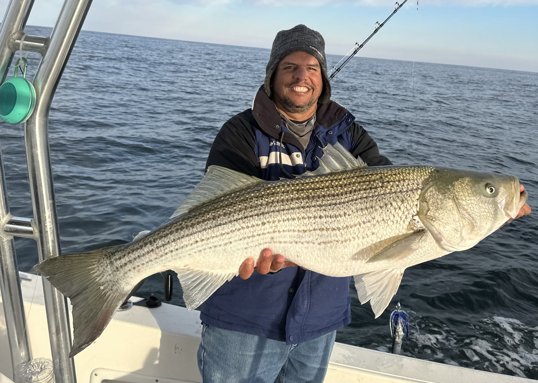 Boat Limit of Sea Bass and Some 50″ Striped Bass