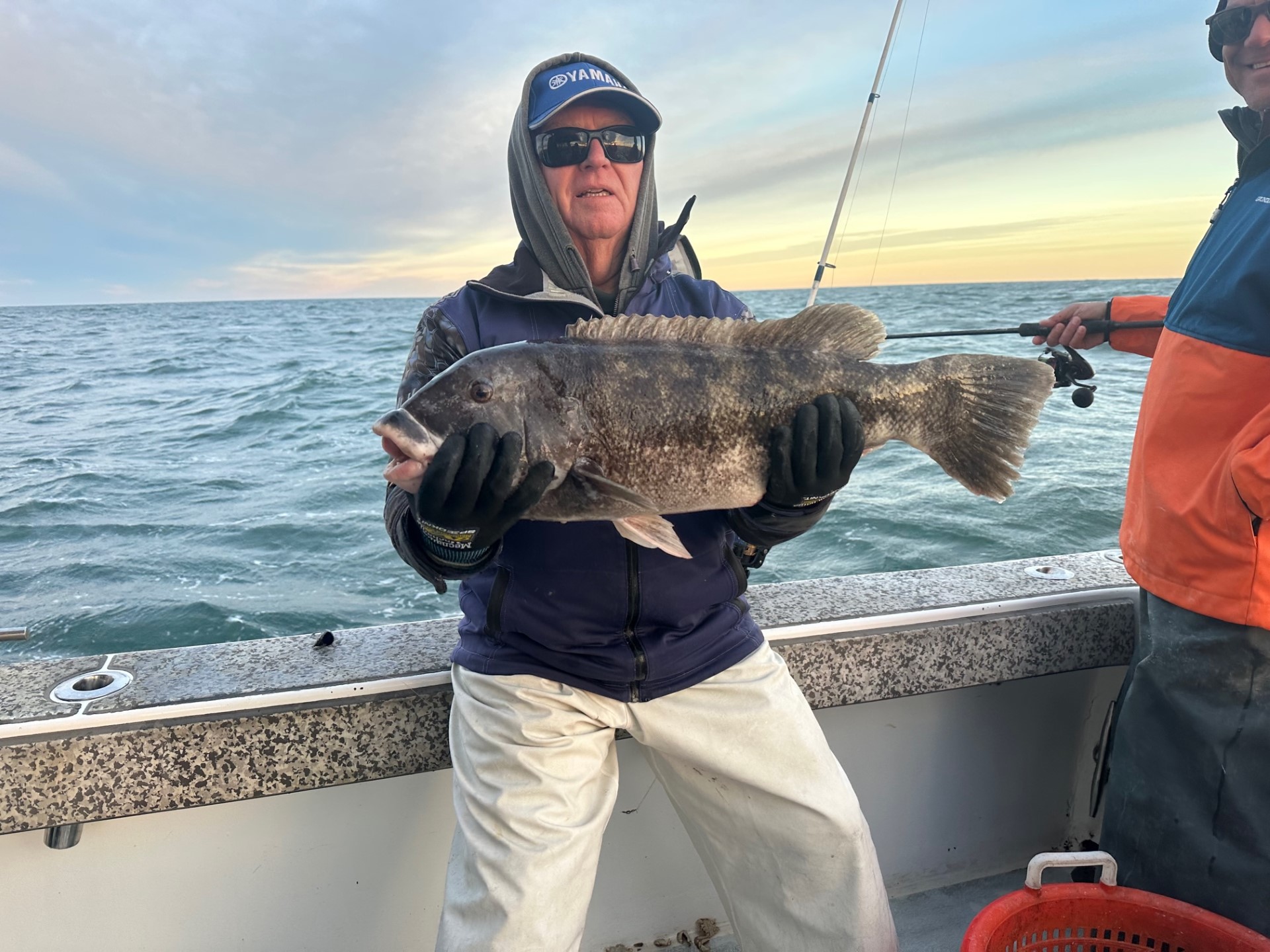 Some Double Digit Tautog