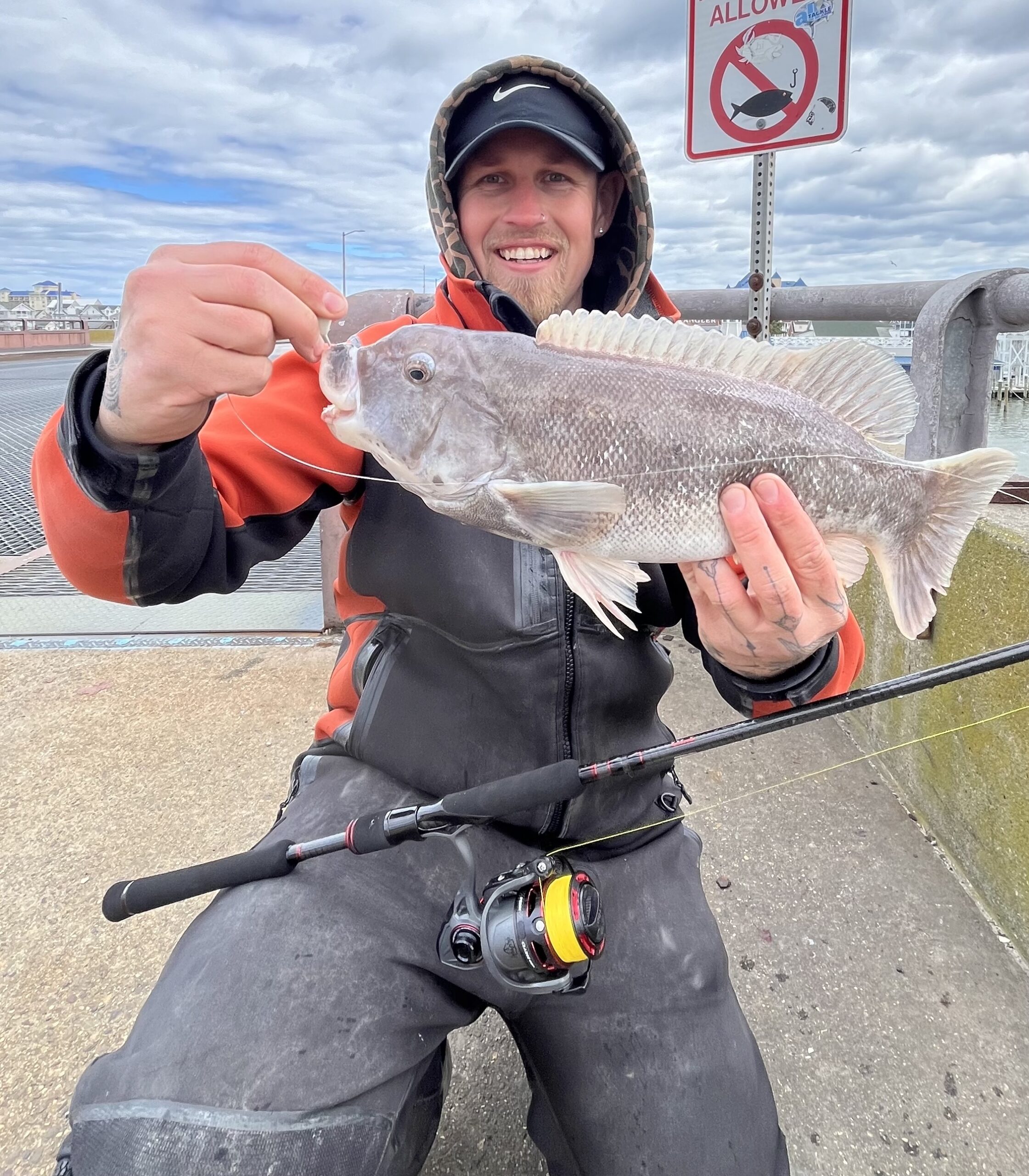 Keeper Tautog in the Bay - Ocean City MD Fishing