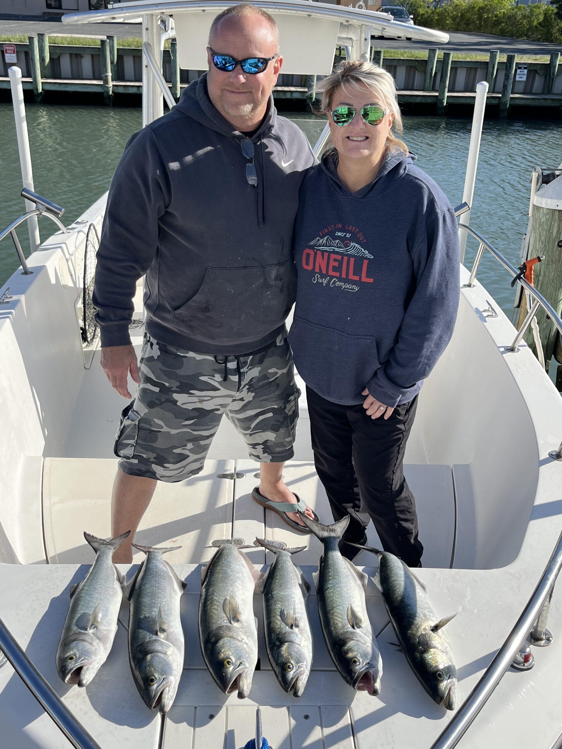 Bluefish e Sheepshead na baíaBluefish e Sheepshead na baía  