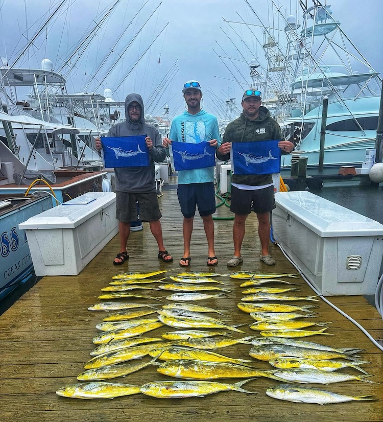 Sea Bass, Tilefish, Marlins and Even a Yellowfin Tuna