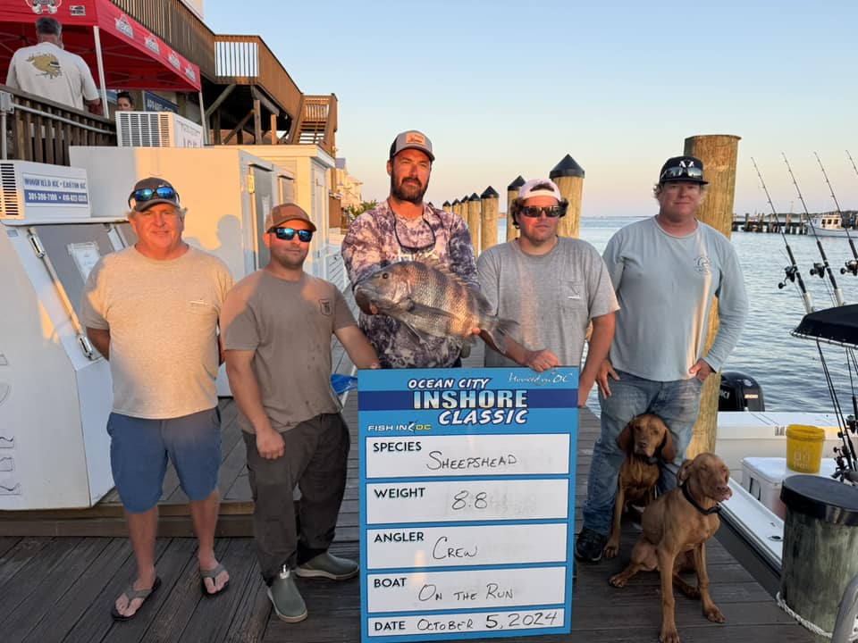 Awesome Fishing For Day 1 of the Ocean City Inshore Classic