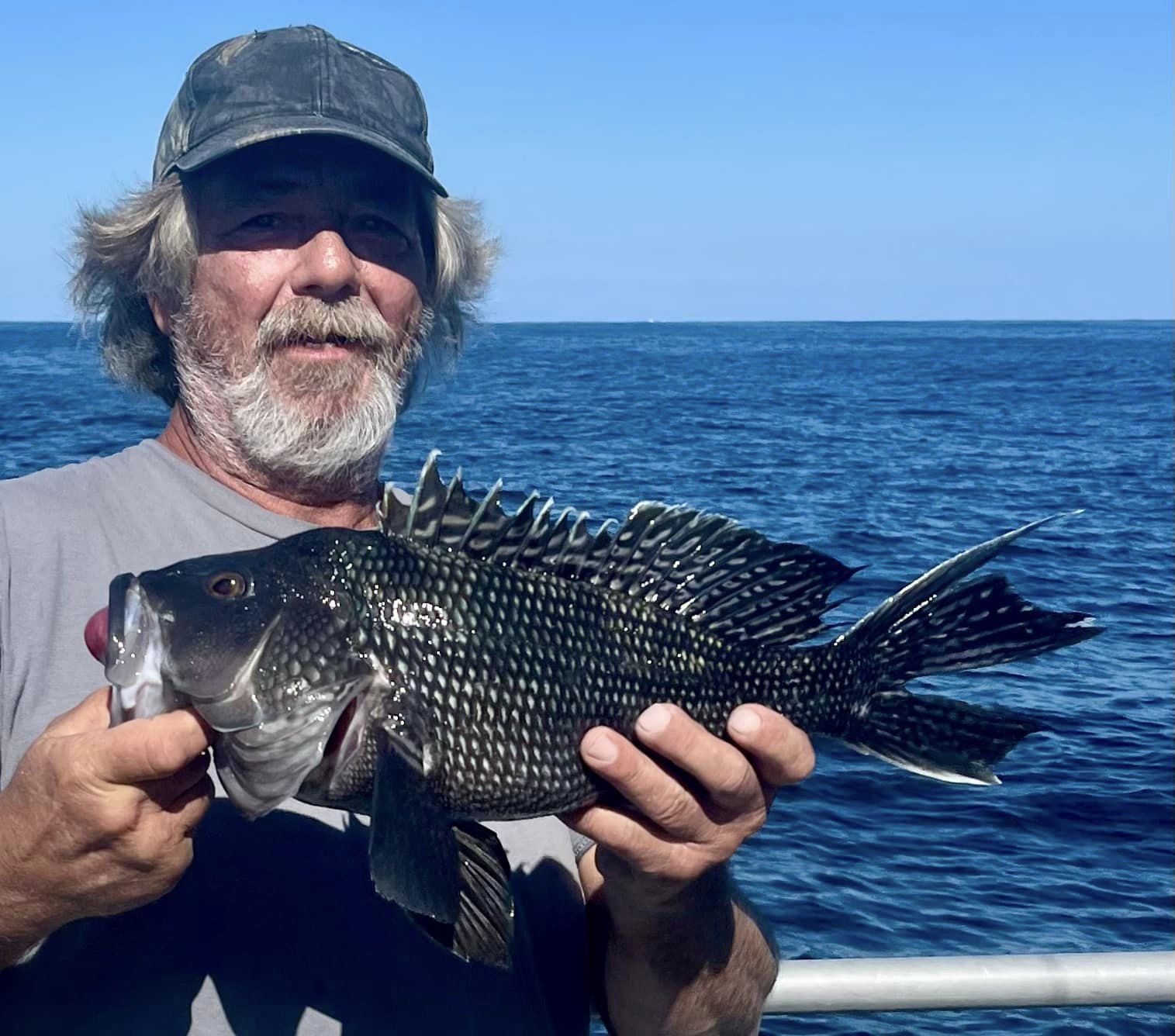 Quality Sea Bass on the Ocean and Still Some Sheepshead in the Bay