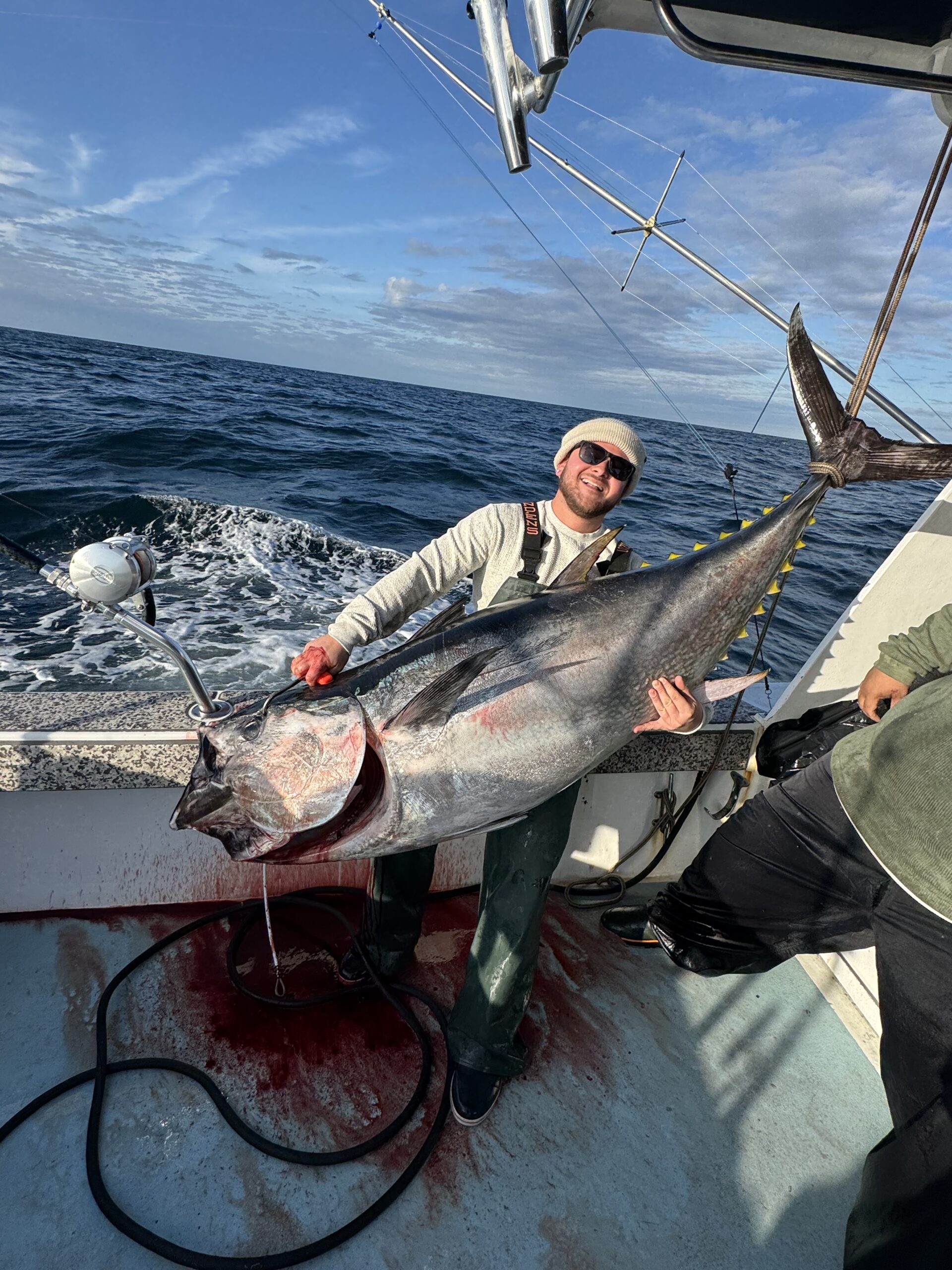 Big Bluefins, Big Sea Bass and Big Tog