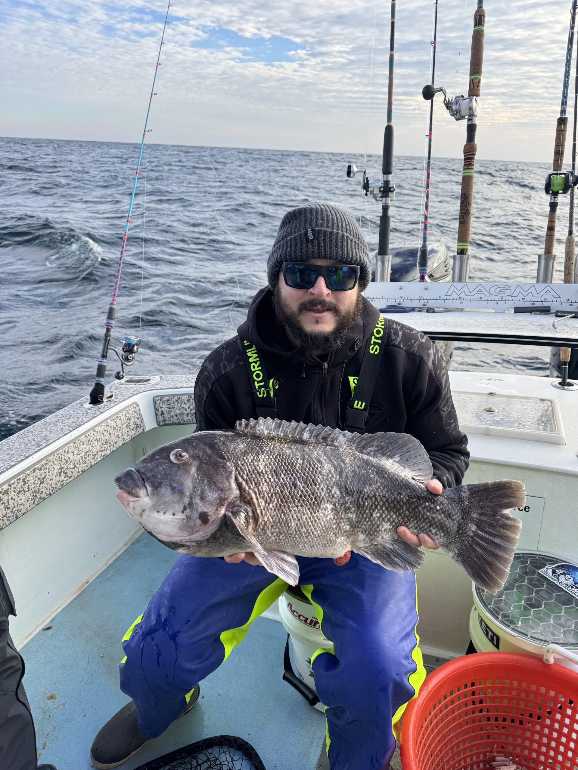 Limit of Tautog to Over 17 Pounds