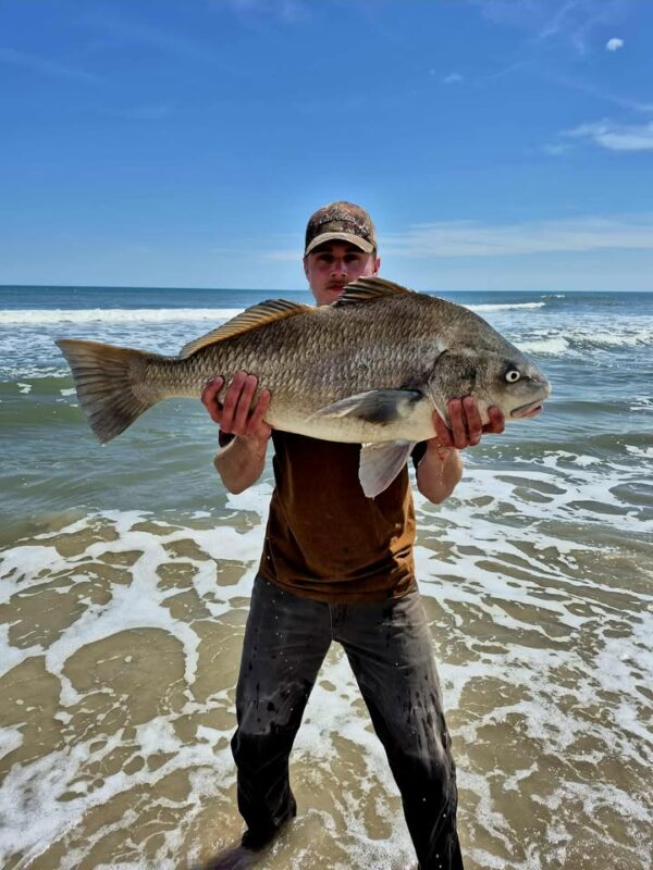 Man on a beach holding a large fish